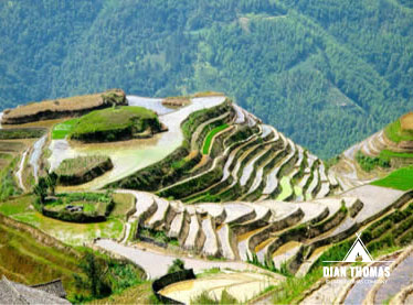 Visitors and tourists see the feet of creativity, farming and engineering used with these rice terraces.